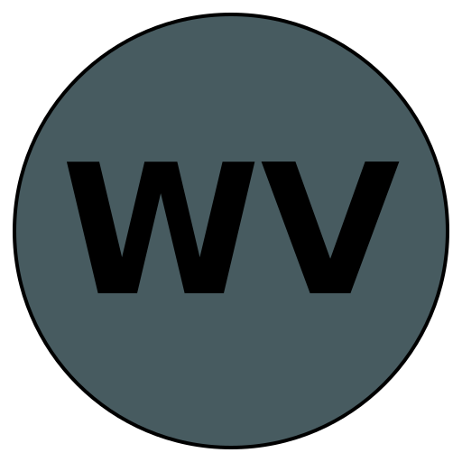 WiseVoyage